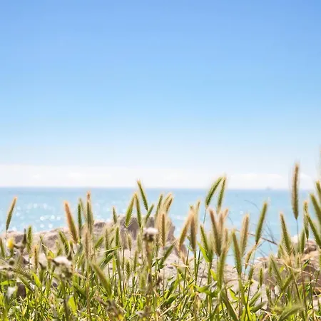 Appartement A Dream Getaway By The Sea *